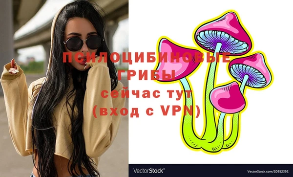 ПСИЛОЦИБИНОВЫЕ ГРИБЫ Богородицк