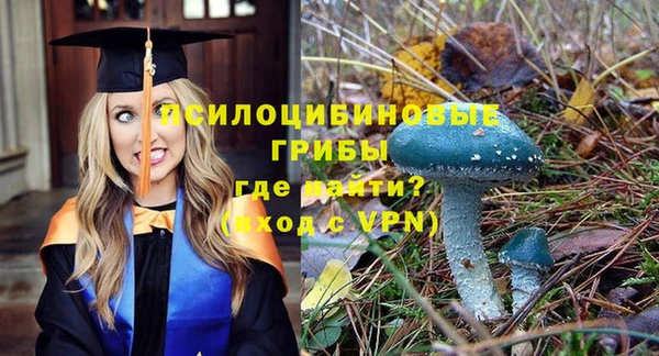 стаф Бронницы