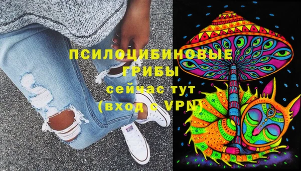 стаф Бронницы